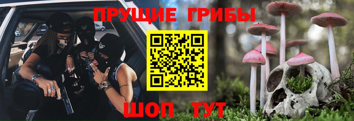 Галлюциногенные грибы Psilocybe  Вход с VPN  Димитровград 